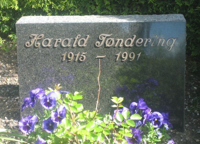 Harald Toendering.jpg